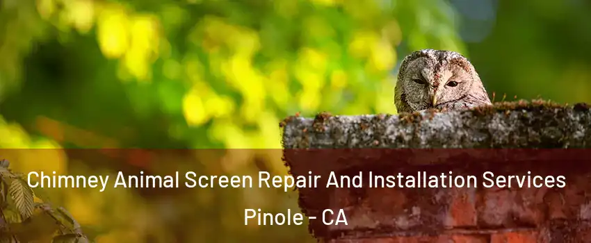  Chimney Animal Screen Repair And Installation Services Pinole - CA