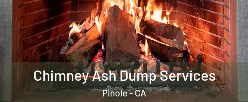  Chimney Ash Dump Services Pinole - CA