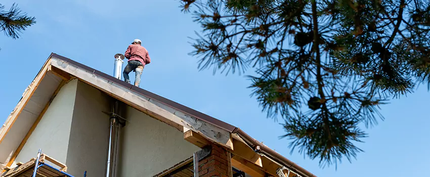 Birds Removal Contractors from Chimney in Pinole, CA