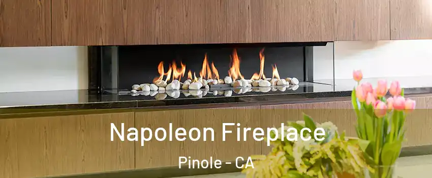  Napoleon Fireplace Pinole - CA
